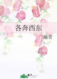 湖南17岁少女被拐,将计就计将人贩子卖给单身汉,法院怎么判决?